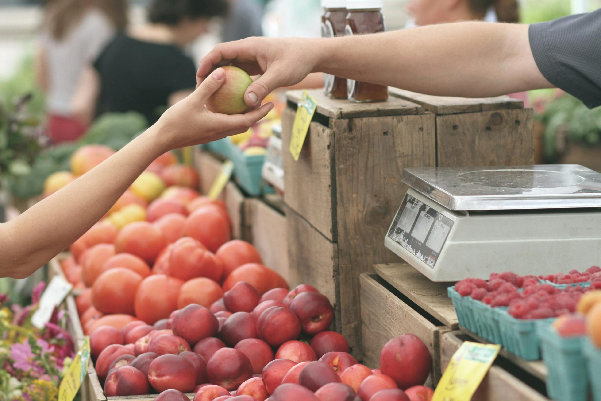Market Alışverişlerinde Tasarruf Etmenin Kolay Noktaları